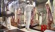 Abattoir de Liège : Abattage de porcs suspendu  